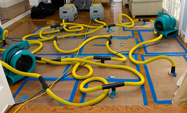Professional Basement Flood Cleanup technician working in Massillon, OH